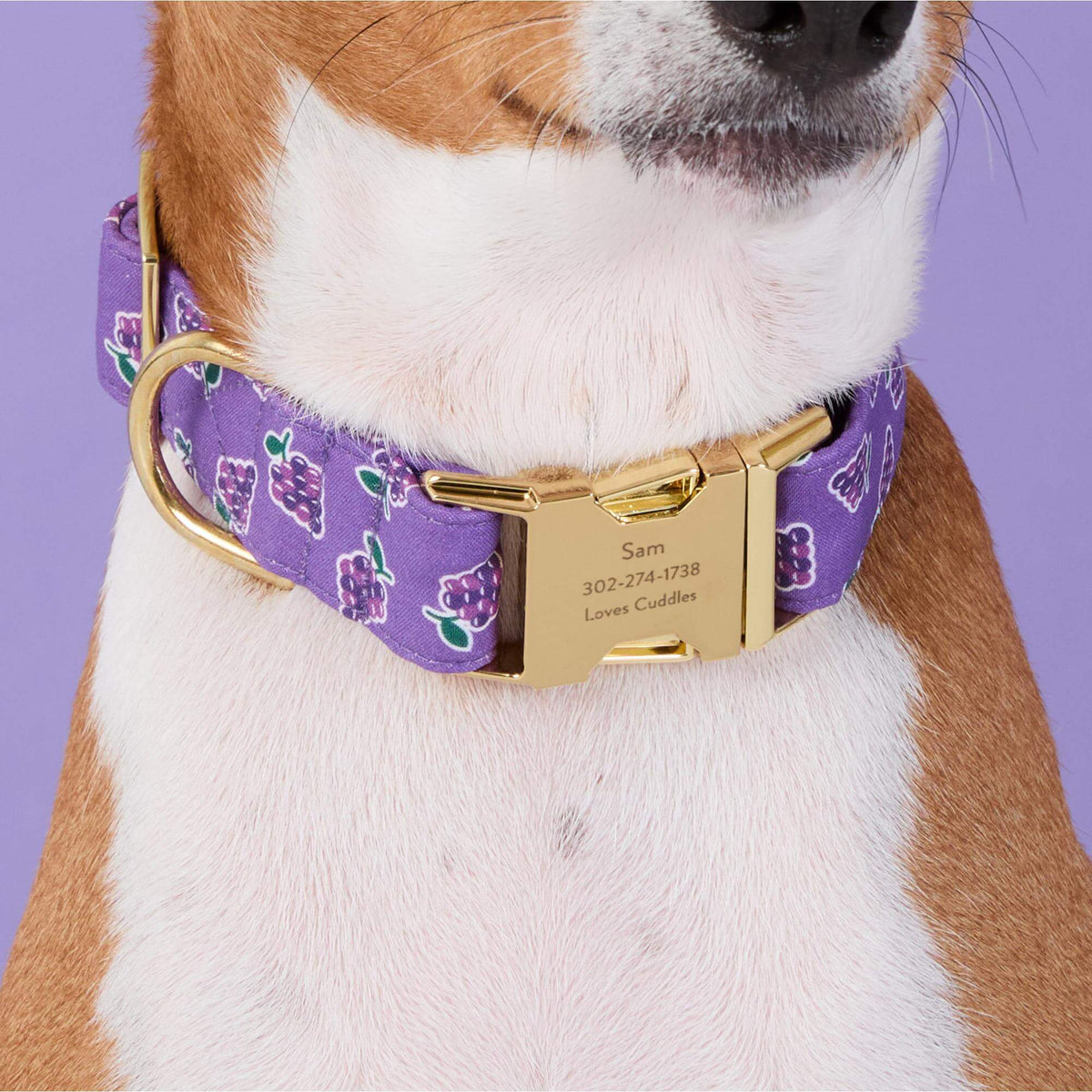Classic Grape Halsband Voor Honden