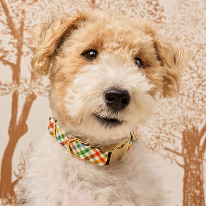 Harvest Geruite Halsband Voor Honden
