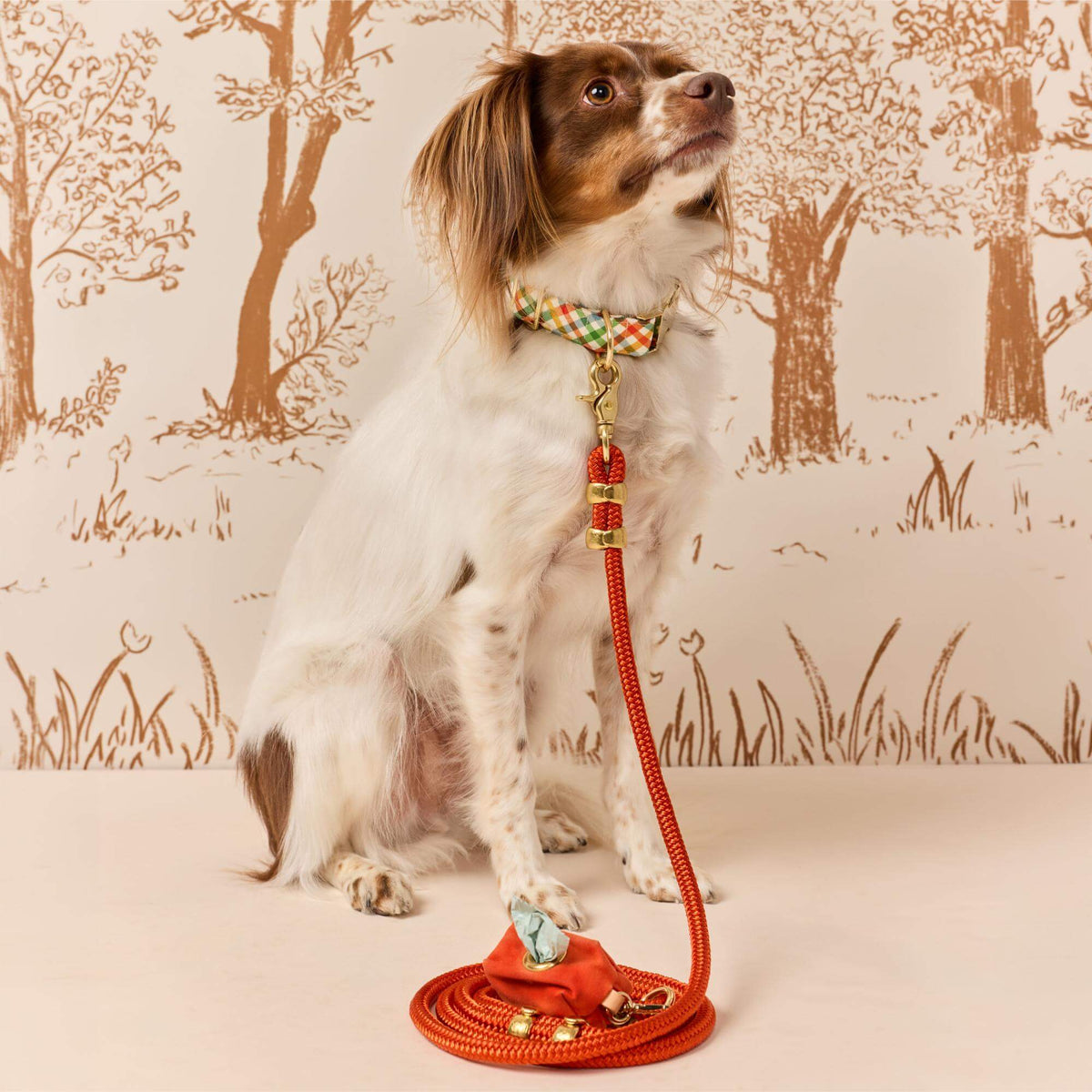 Harvest Geruite Wandelset Met Halsband