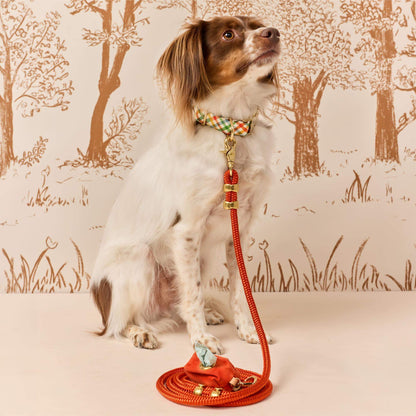 Harvest Geruite Wandelset Met Halsband