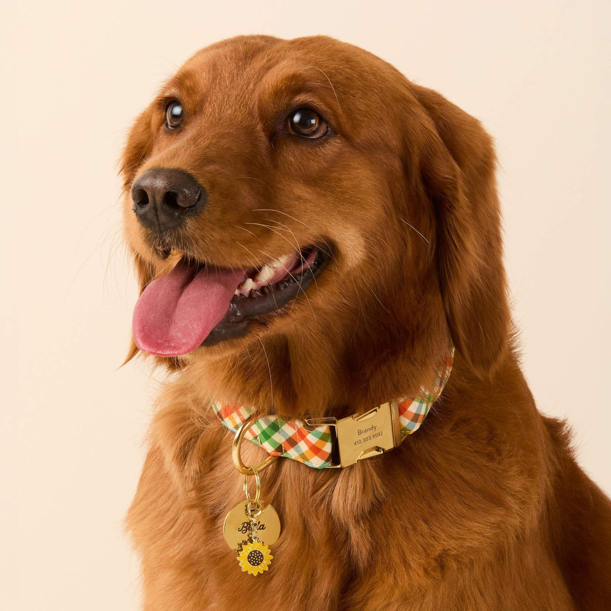 Harvest Geruite Halsband Voor Honden