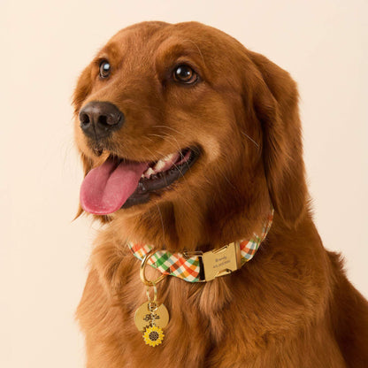 Harvest Geruite Halsband Voor Honden