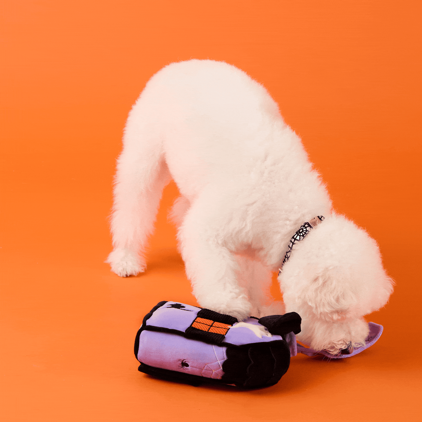 Spookhuis Snuffelspeelgoed Voor Honden