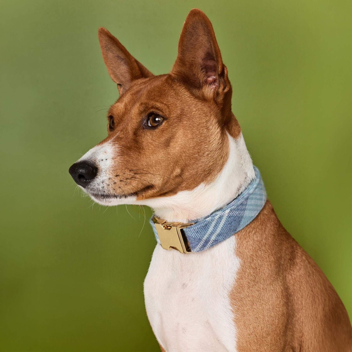 Hawthorne Geruite Flanellen Halsband Voor Honden