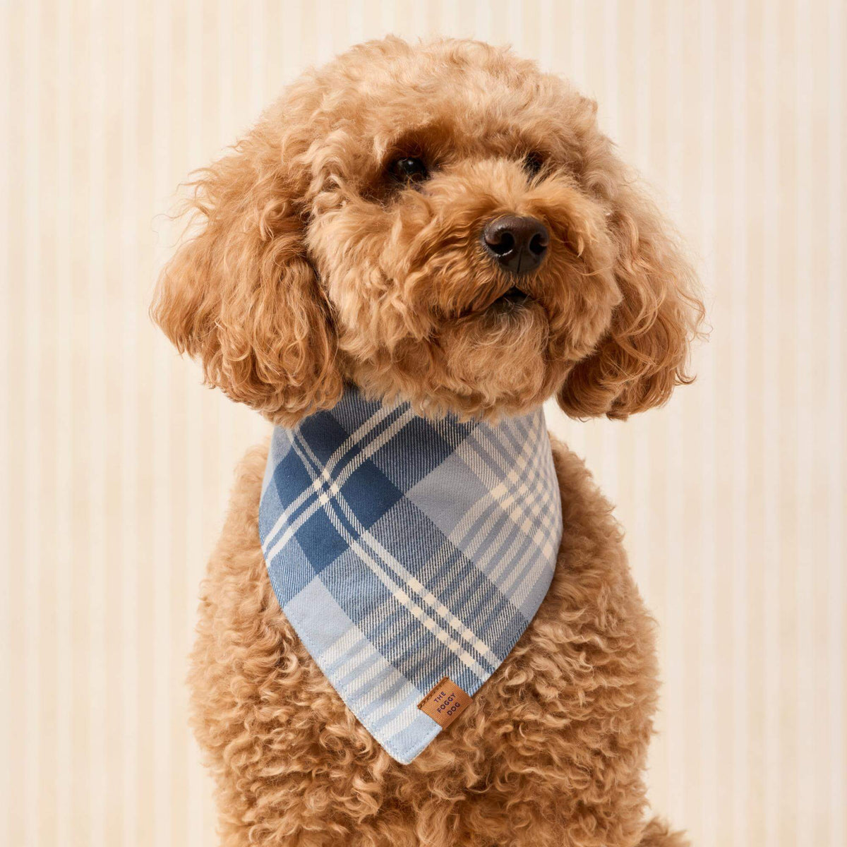Hawthorne Geruite Flanellen Bandana Voor Honden