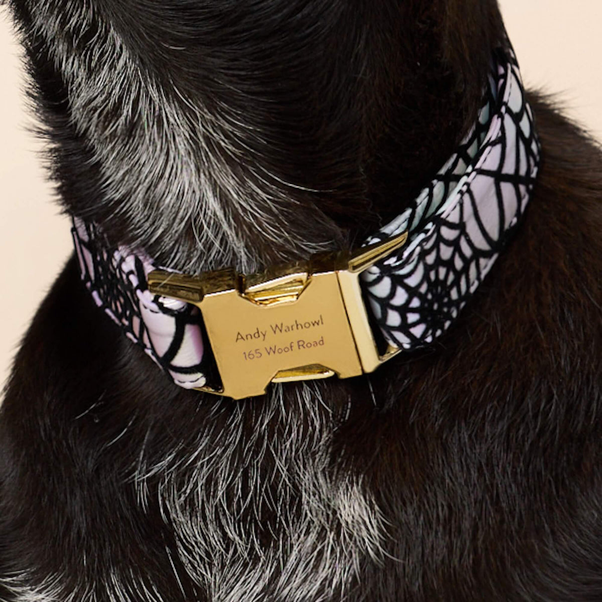 Holografische Spinnenweb-Halsband Voor Honden