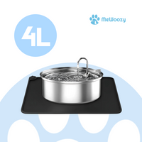 4L