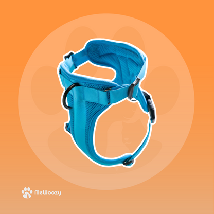 Lightweight Mesh Dog Harness – For Adventurous Walks