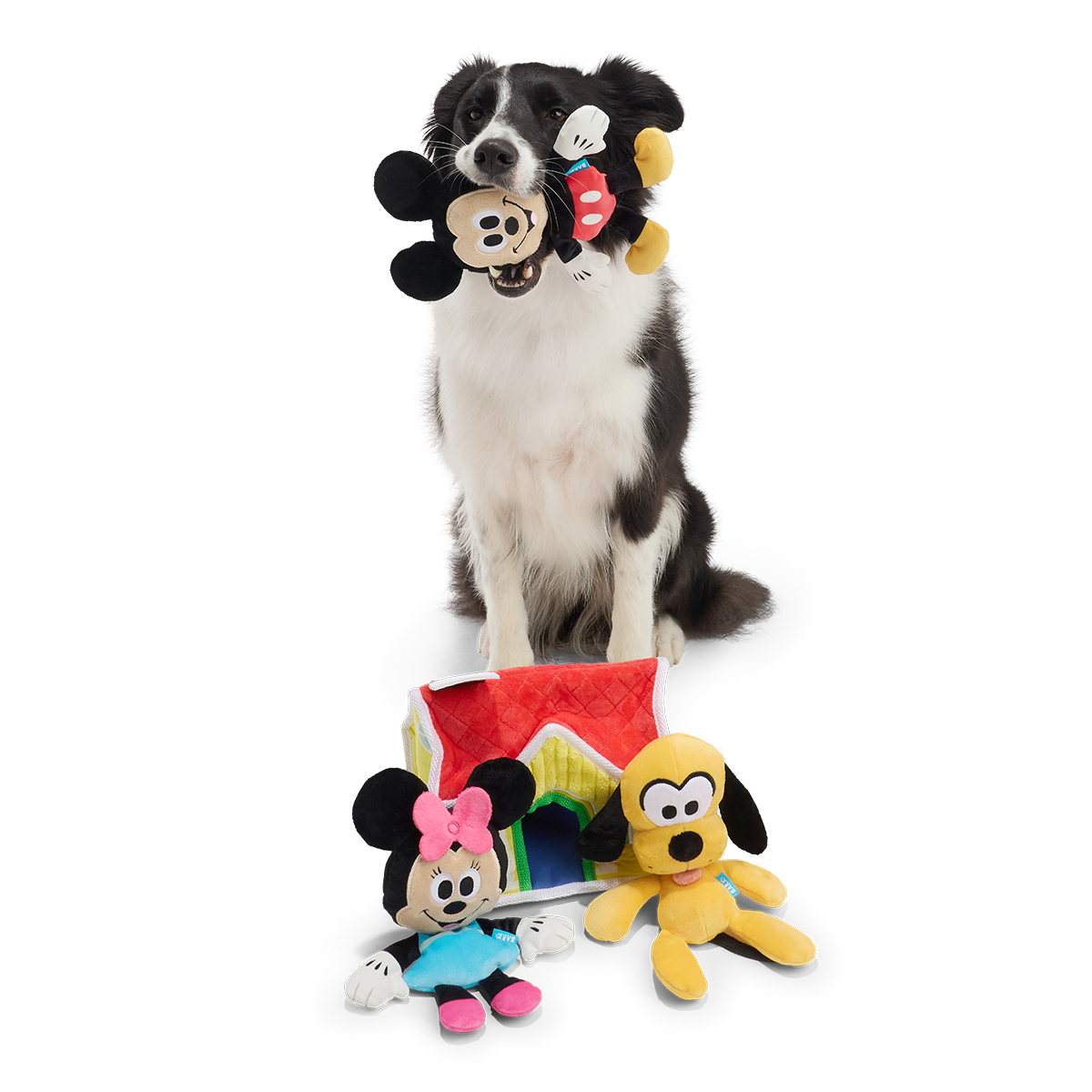 Zittende border collie houdt Mickey-knuffel vast, huisje en knuffels voor zijn poten