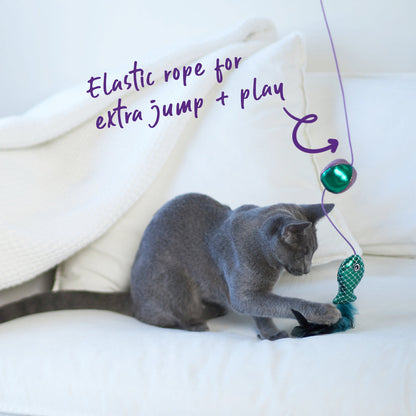 Kat op witte bank speelt met vis, uitleg over elastisch koord voor extra sprong