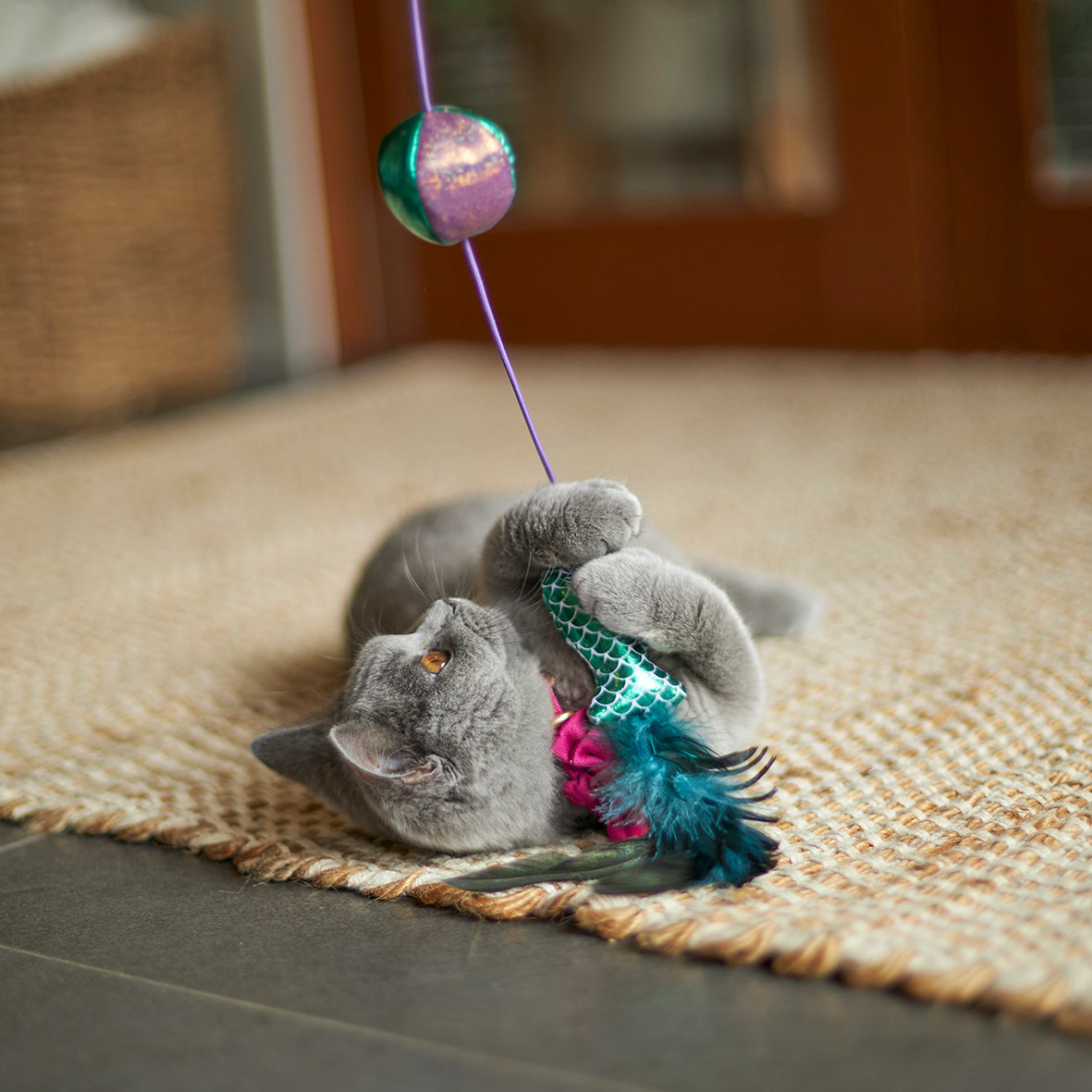 Grijze kat ligt op zijn rug op jute kleed en klemt de vis vast