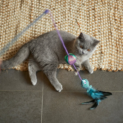 Bovenaanzicht van grijze kat op tegelvloer naast de hele kattenhengel