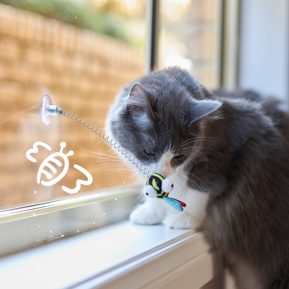 Grijs-witte kat bijt in de bij die met zuignap op het raam zit