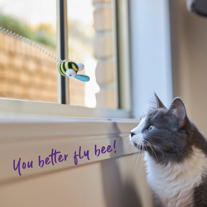 Grijs-witte kat kijkt naar de bij op het raam, tekst 'You better fly bee'