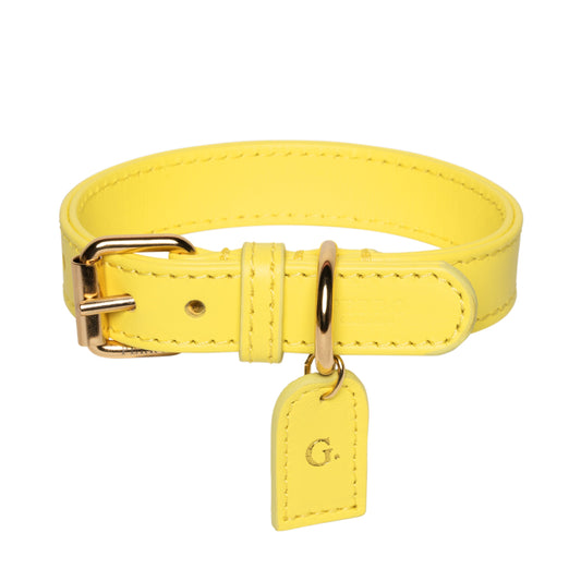 Leather Dog Collar with Name – Handmade in Italy