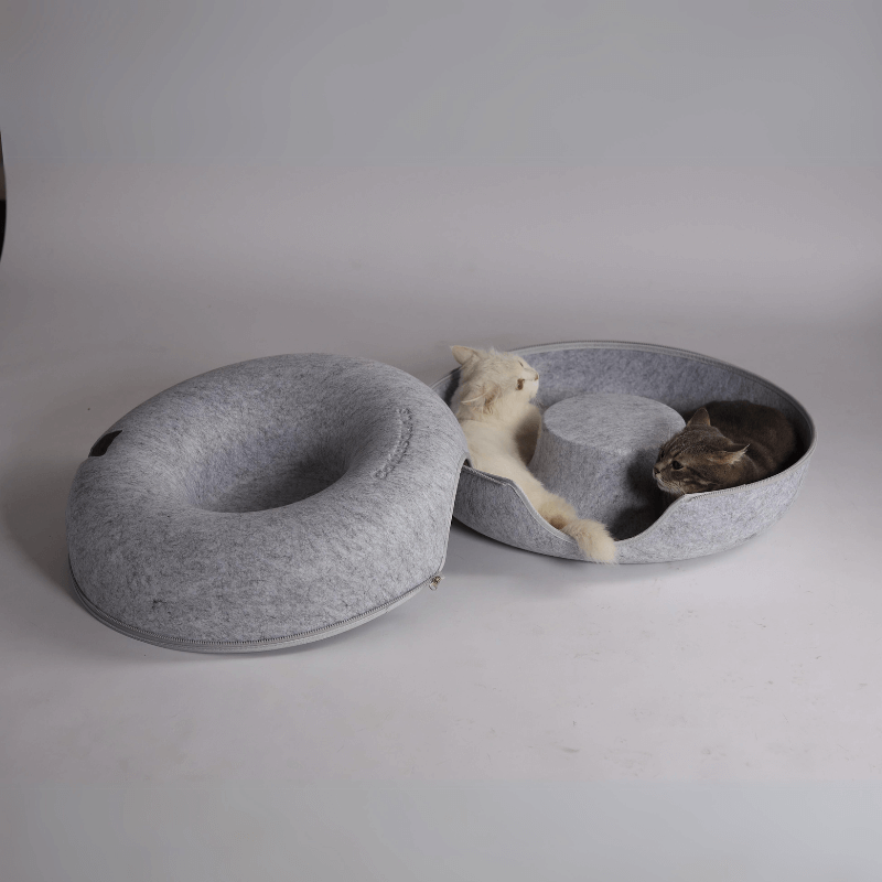 Kattengrot opengeritst in twee helften met twee katten in de ligschaal