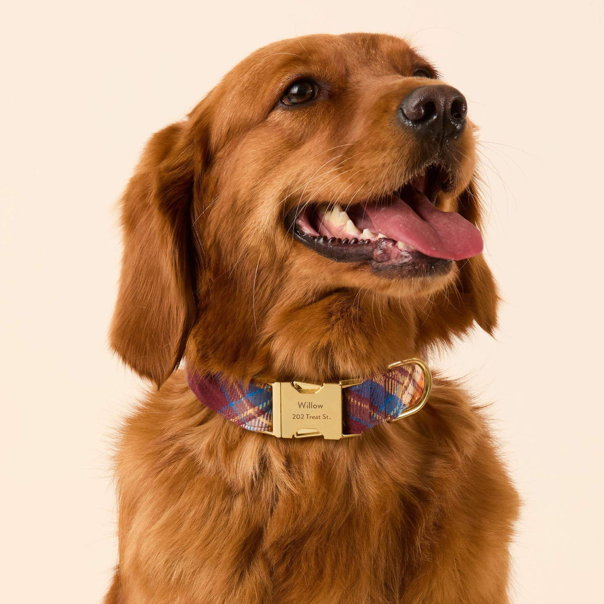 Marlow Geruite Flanellen Halsband Voor Honden