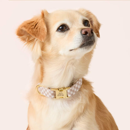 Bruin Geruite Paddenstoel Halsband Voor Honden