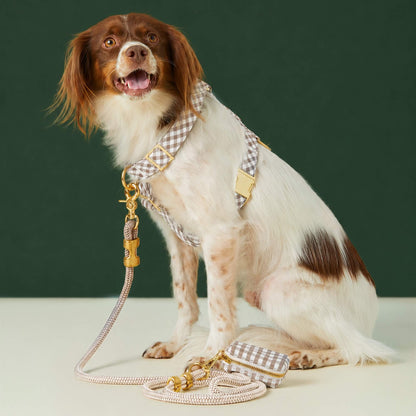 Bruin Geruite Wandelset Voor Honden