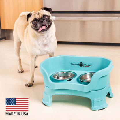 Mopshond staat in de keuken bij de turquoise voerbak