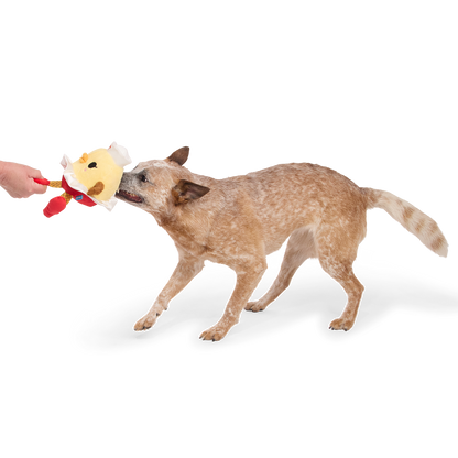 Hond speelt trekspel met de hondenknuffel die een hand vasthoudt