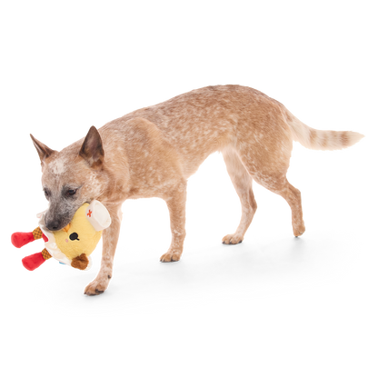 Hond loopt met de gele kuikenknuffel in zijn bek