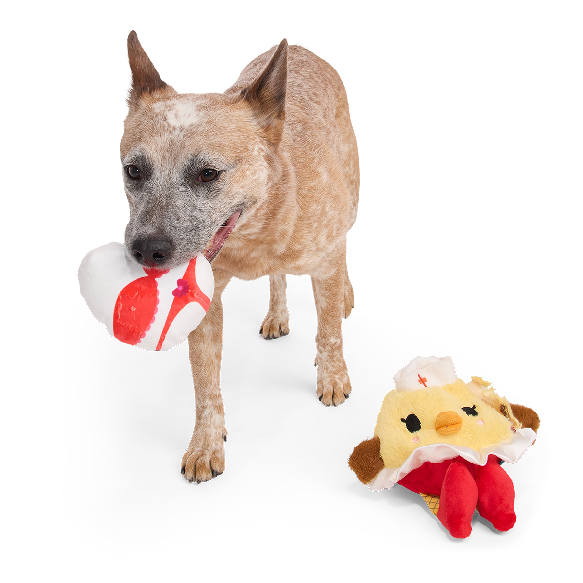 Hond draagt het witrode verrassingsspeeltje, de kuikenknuffel ligt ernaast
