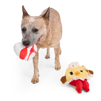 Hond draagt het witrode verrassingsspeeltje, de kuikenknuffel ligt ernaast