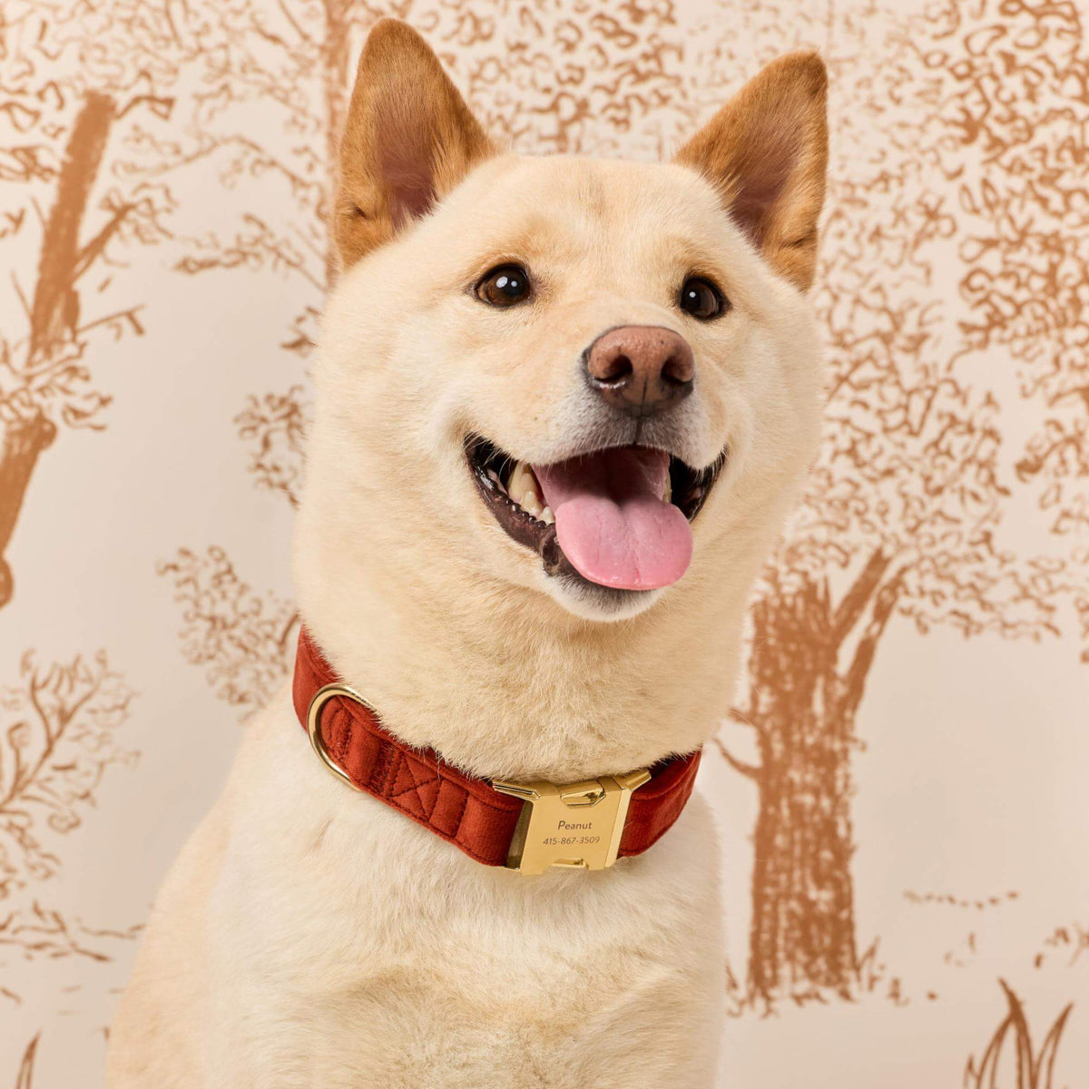 Nutmeg Fluwelen Halsband Voor Honden