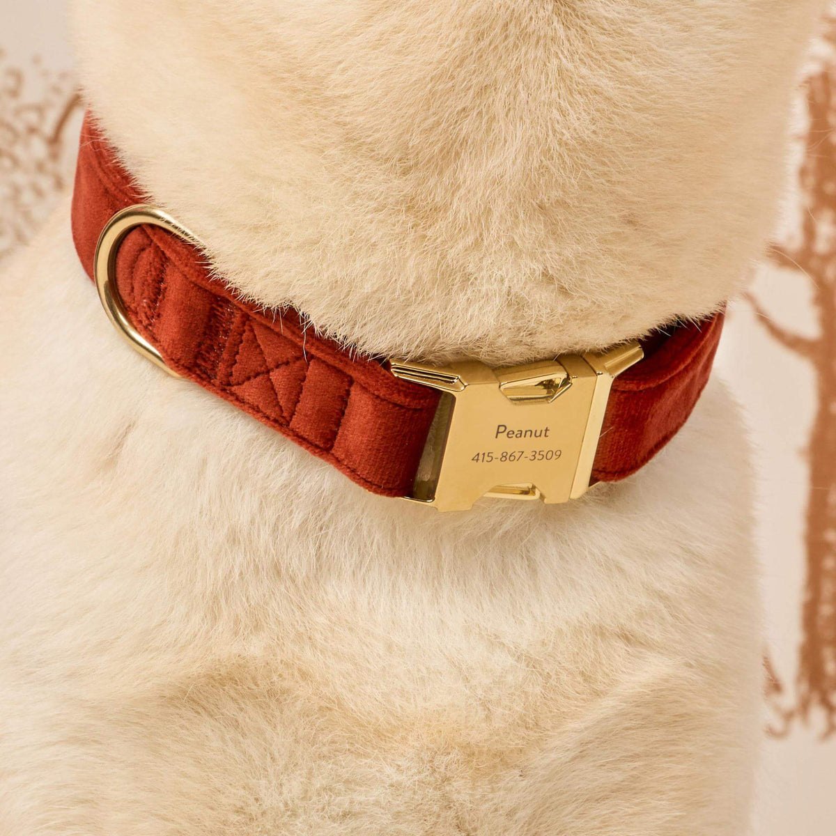 Nutmeg Fluwelen Halsband Voor Honden
