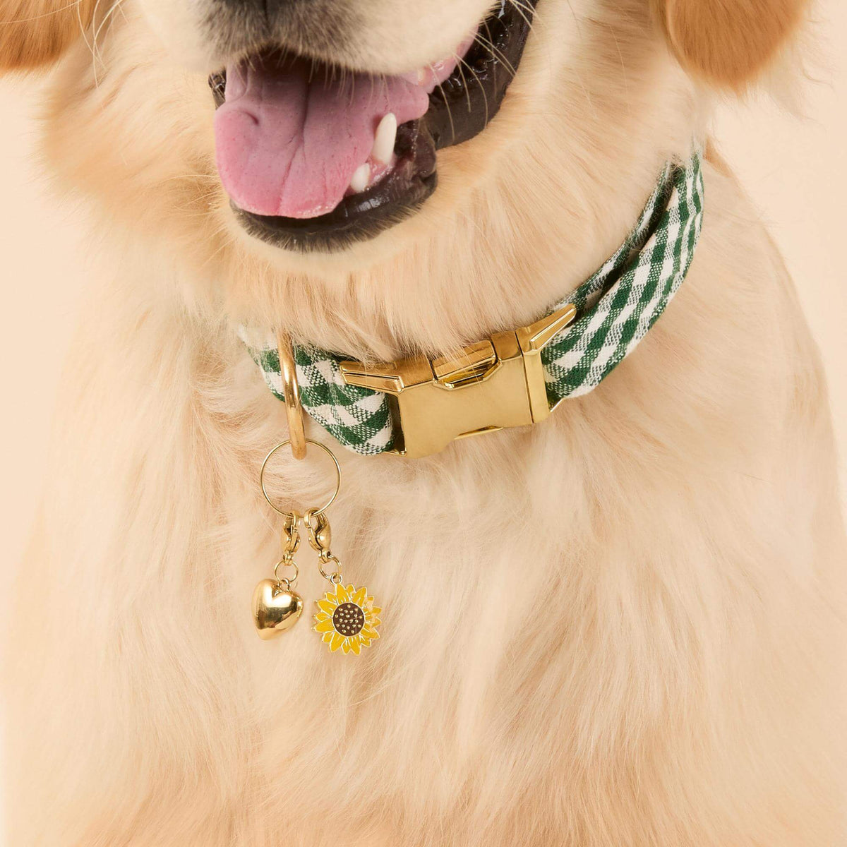Love In Bloom Halsbandbedelset Voor Honden