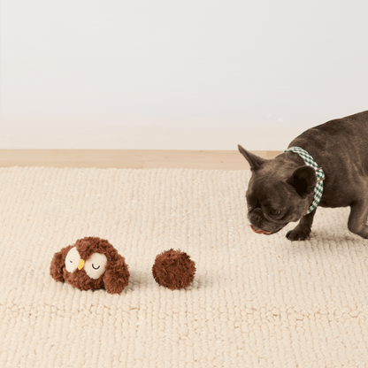 Uil 2-in-1 Stuiterspeeltje Voor Honden