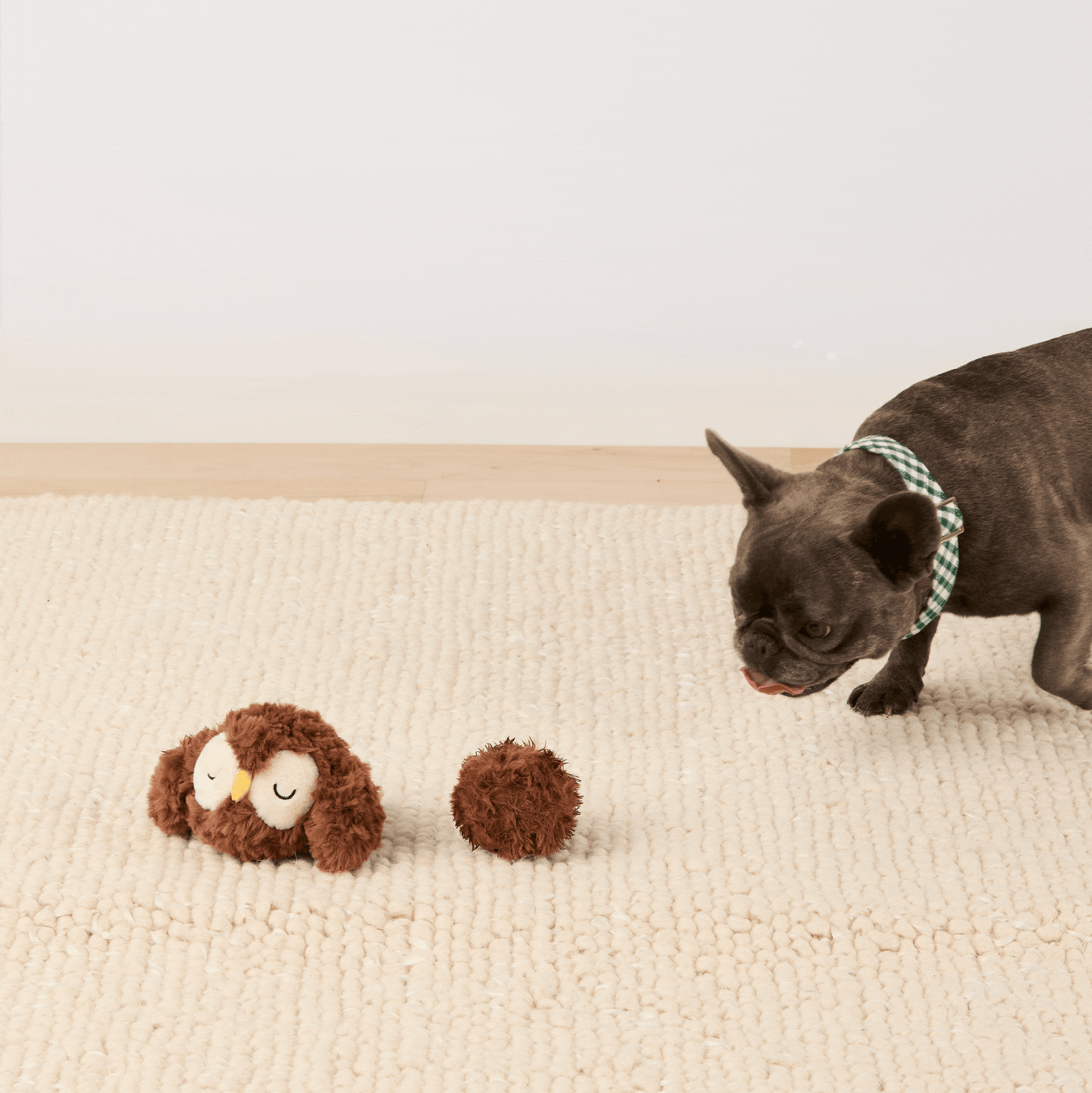 Bosvriendjes 2-in-1 Stuiterspeelgoedset Voor Honden