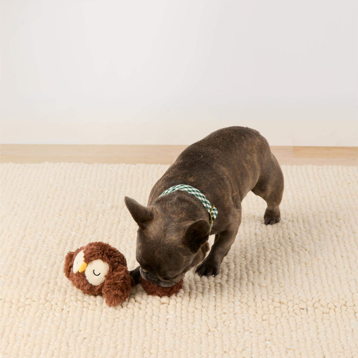 Uil 2-in-1 Stuiterspeeltje Voor Honden