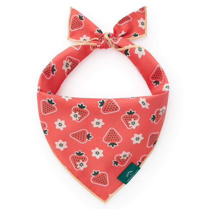 Strawberry Vanilla Bandana Voor Honden