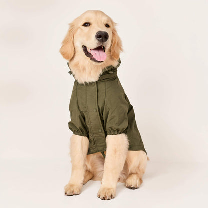 Olijfgroene Regenjas Voor Honden