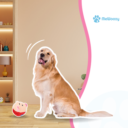 Pig Dog Toy – With Funny Squeaky Sound
