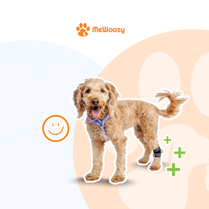 Dog Brace Hind Leg – For Better Joint Support