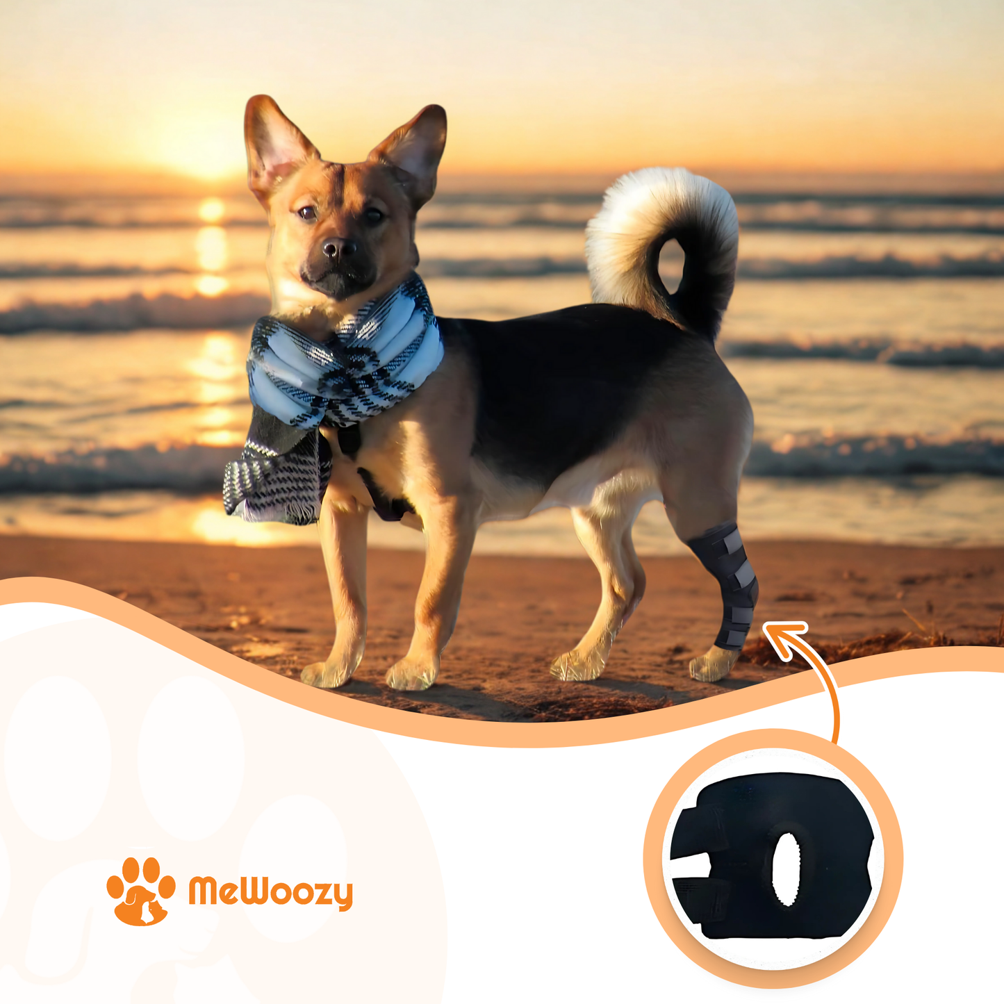 Dog Brace Hind Leg – For Better Joint Support