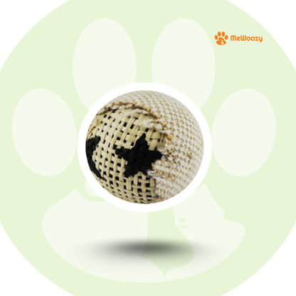 Cat Play Ball – For Hours of Entertainment