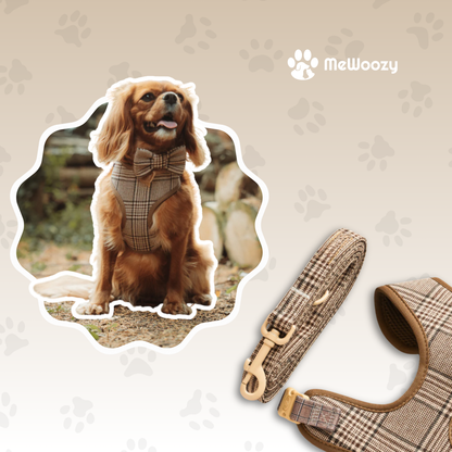 Dog Leash and Collar Set – With Safety Lock