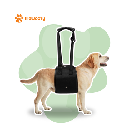 Dog Lifting Strap – For Recovery After Surgery or Injury