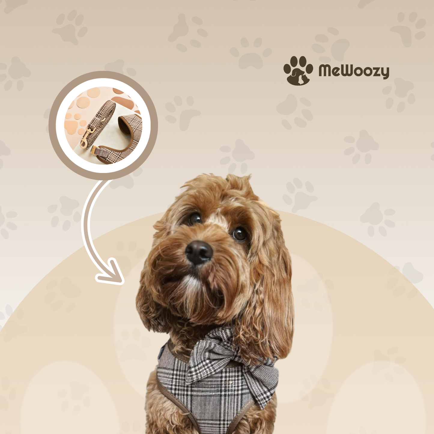 Dog Leash and Collar Set – With Safety Lock