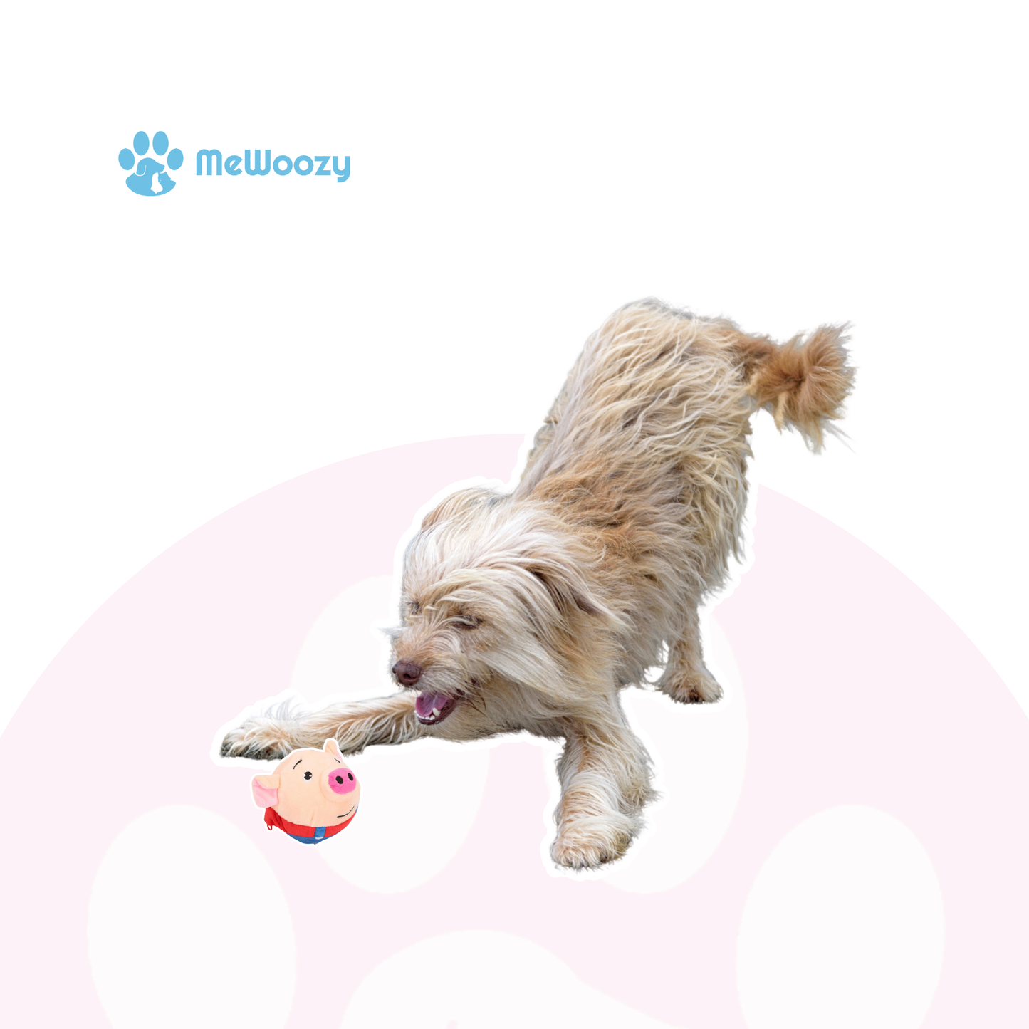 Pig Dog Toy – With Funny Squeaky Sound