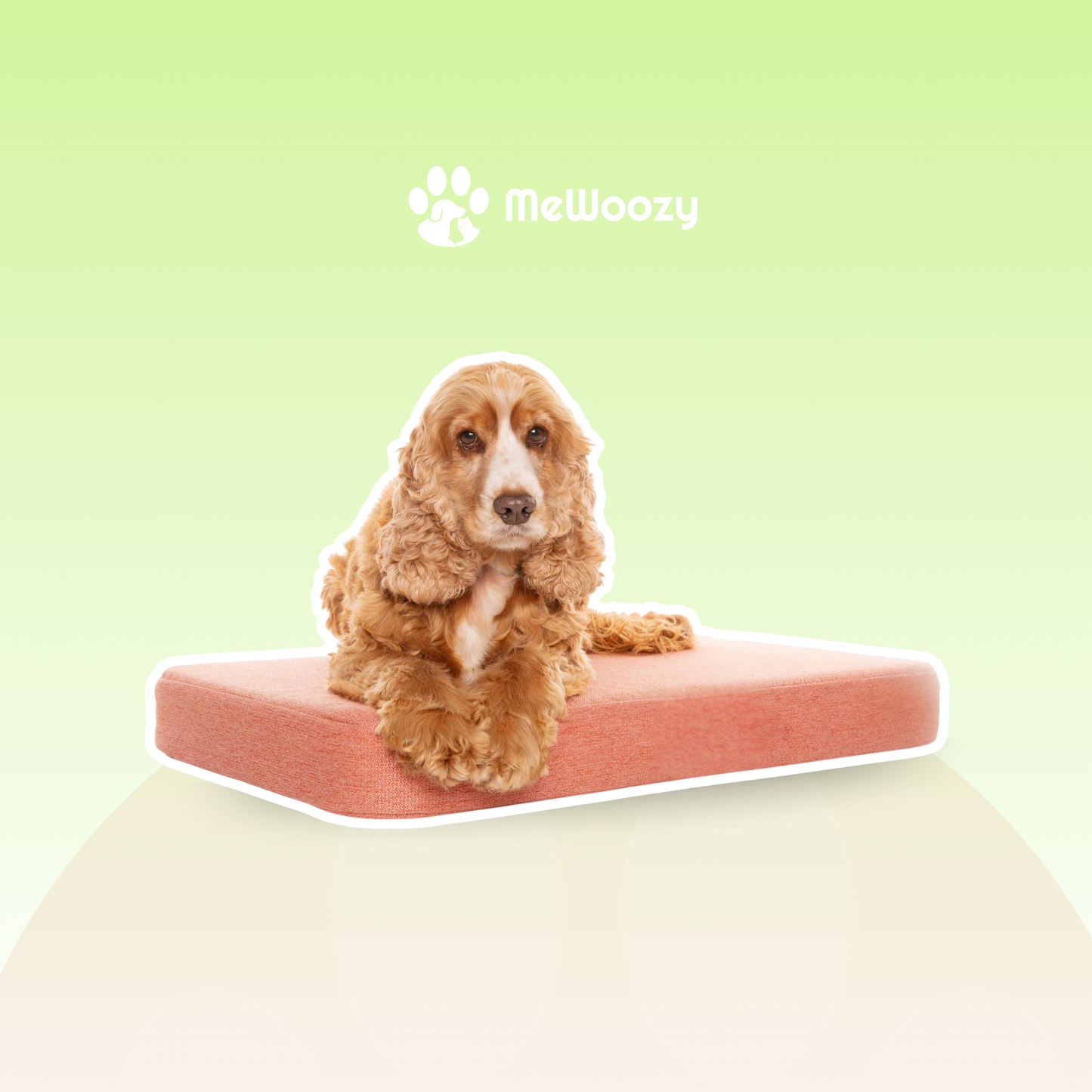 Orthopedic Dog Bed – For Extra Joint Support