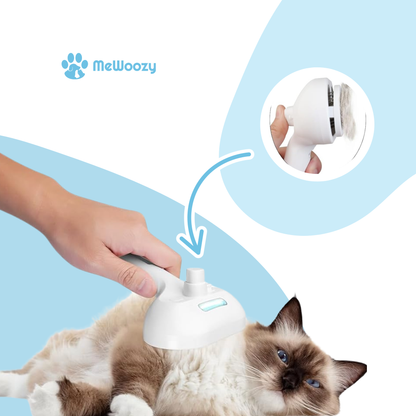 Pet Steam Brush – Against Loose Hair