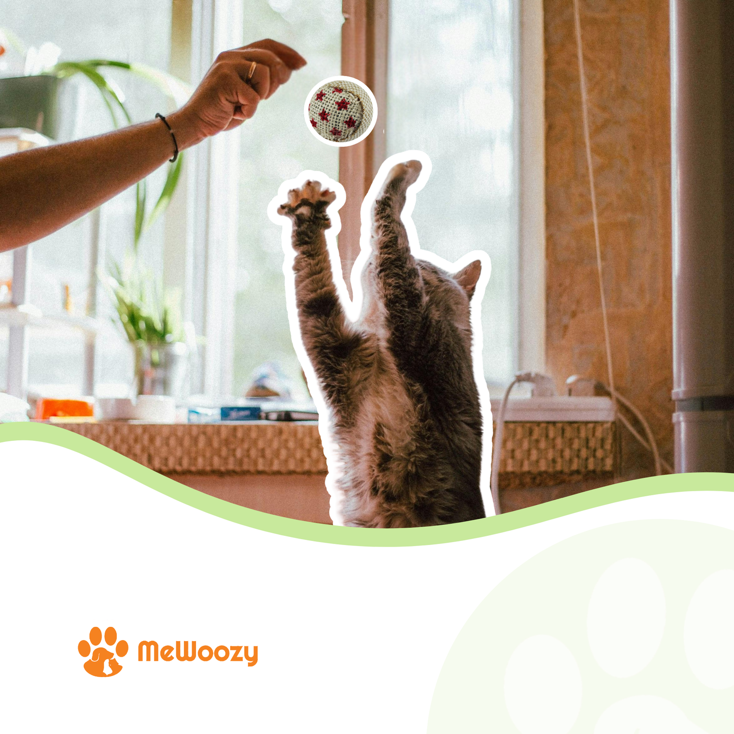 Cat Play Ball – For Hours of Entertainment