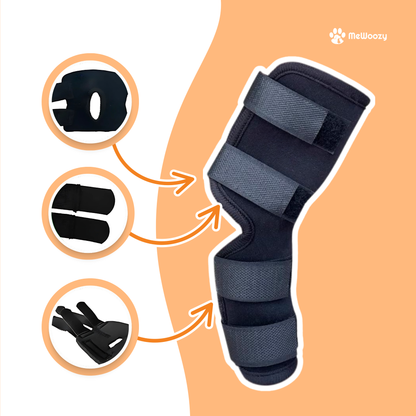 Dog Brace Hind Leg – For Better Joint Support