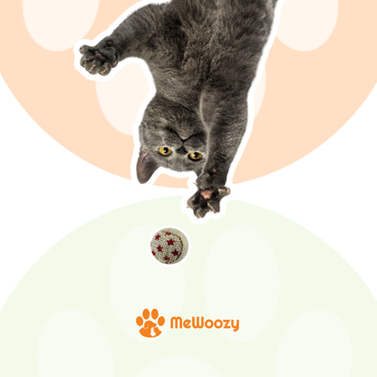 Cat Play Ball – For Hours of Entertainment
