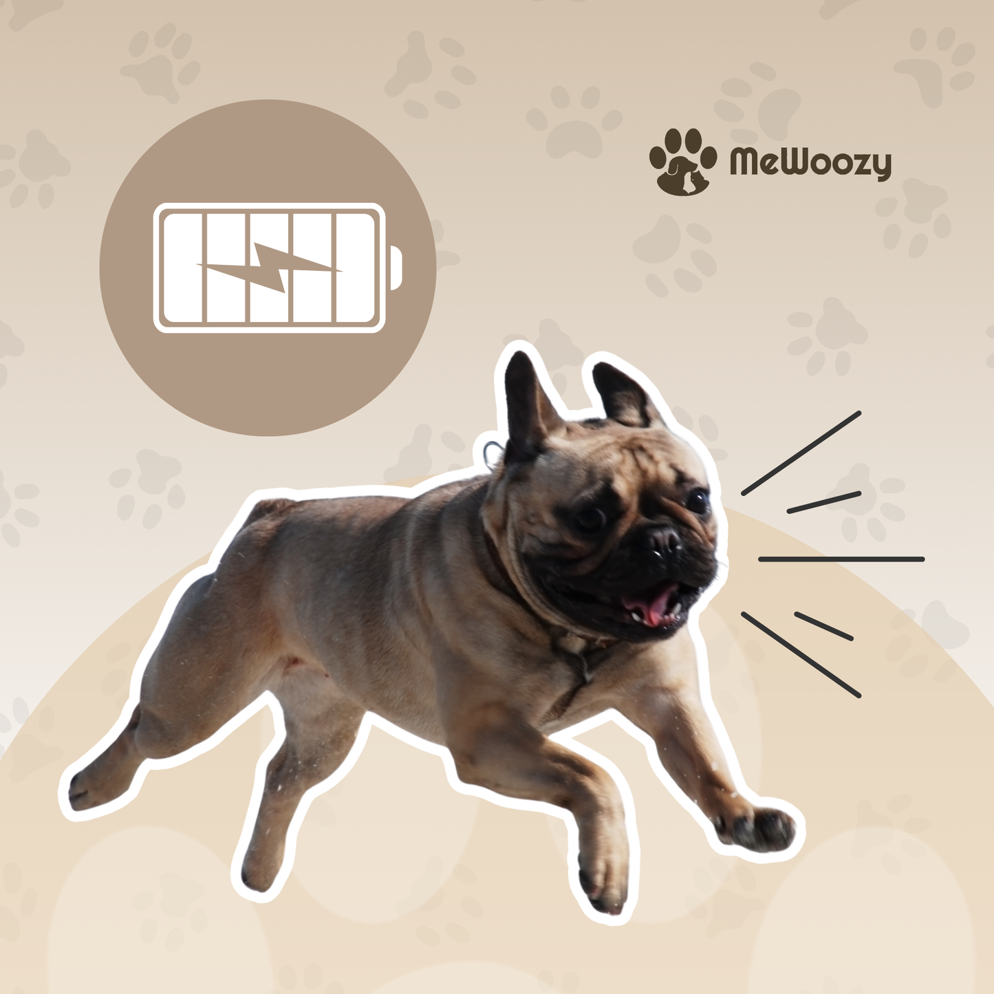 Weighted Dog Harness – For More Strength and Endurance